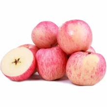 Exporting Standard Fresh FUJI Apple in Good Quality